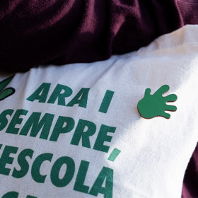 Pin Ara i sempre, l'escola en català