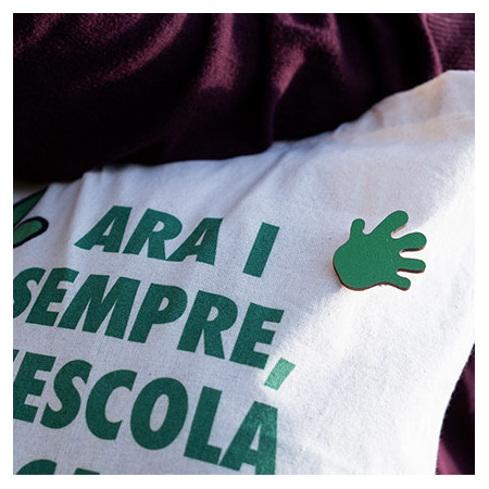 Pin Ara i sempre, l'escola en català